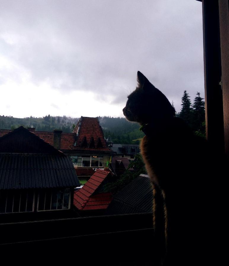 Cottage Spadok Ворохта Экстерьер фото